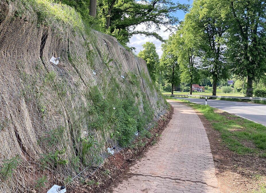 Hangsicherung Hangsicherung bei Rittmarshausen